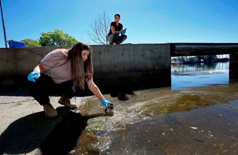 Toxic Algae East of Tri-Cities in the Burbank Area